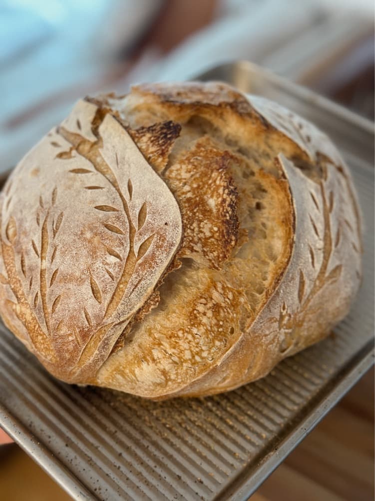 Jovi Iravati Sourdough photo