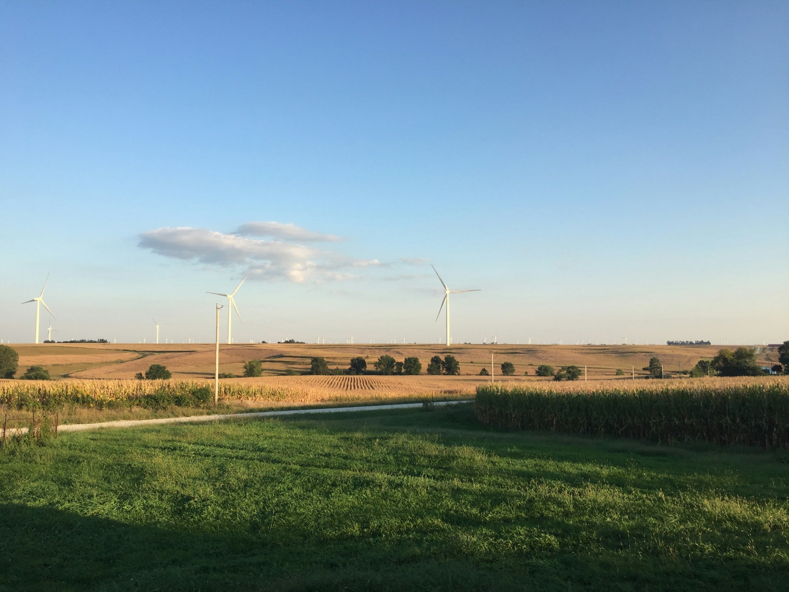 landscape photography of green grass field