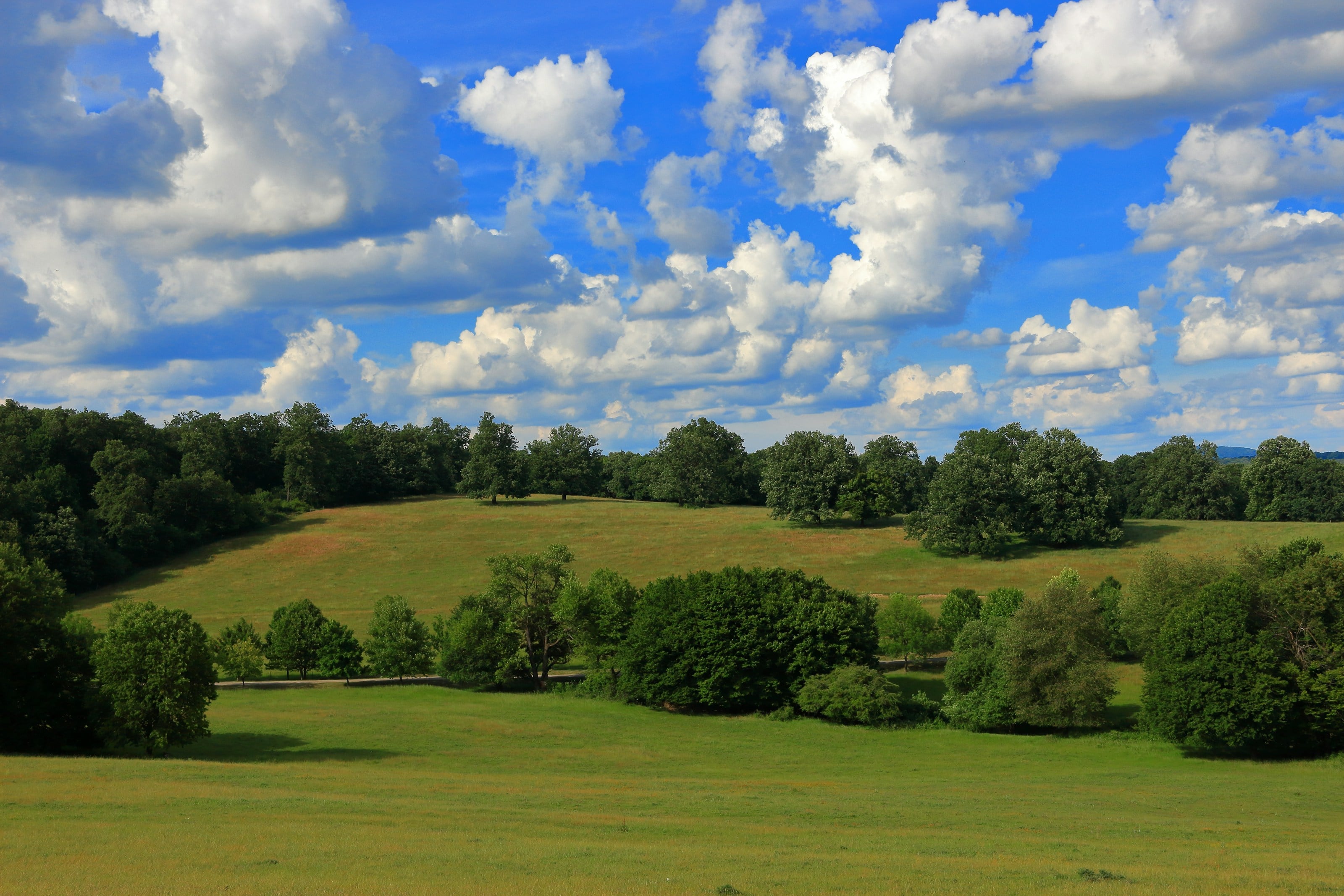 A green field with trees and clouds in the sky