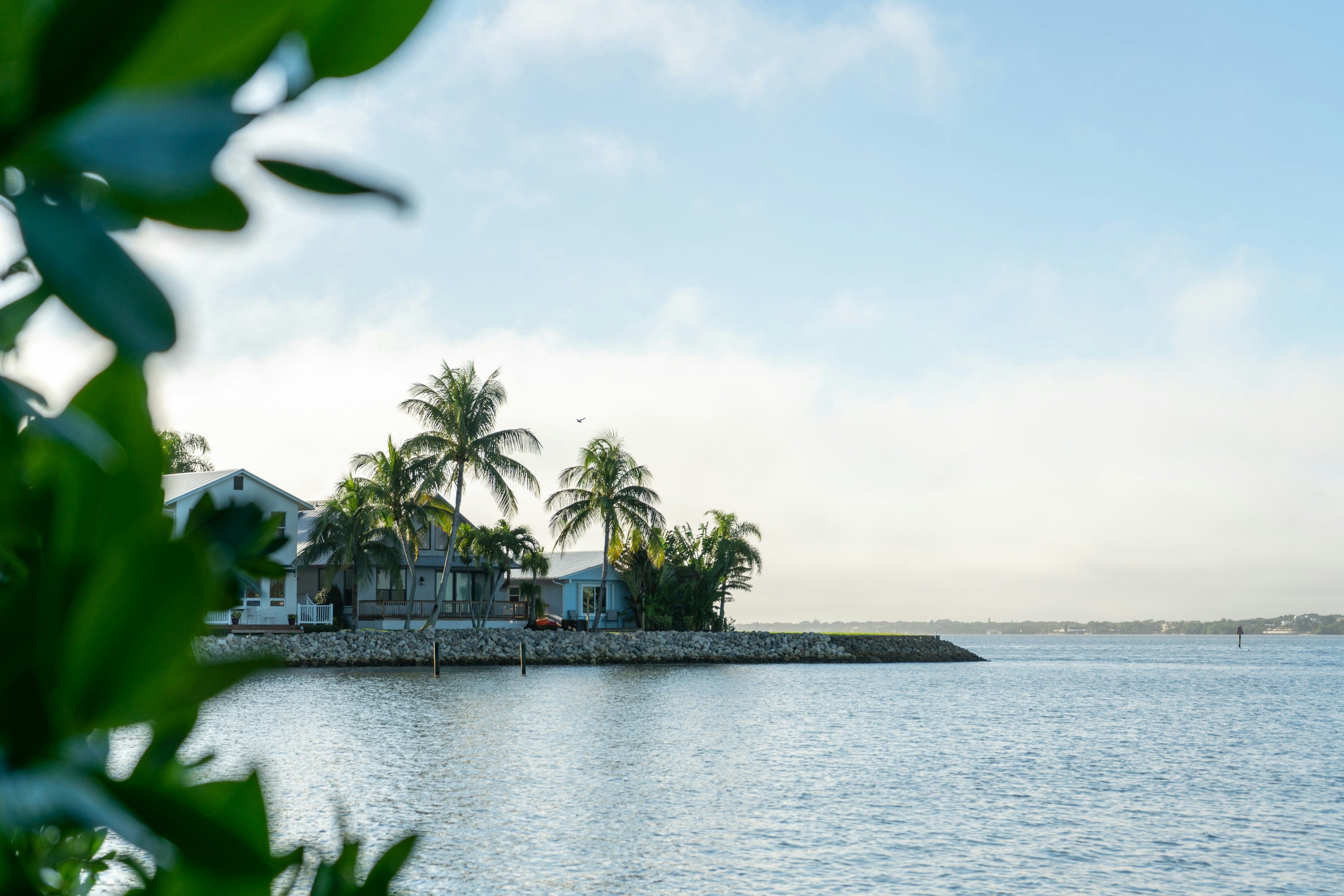 a body of water surrounded by palm trees