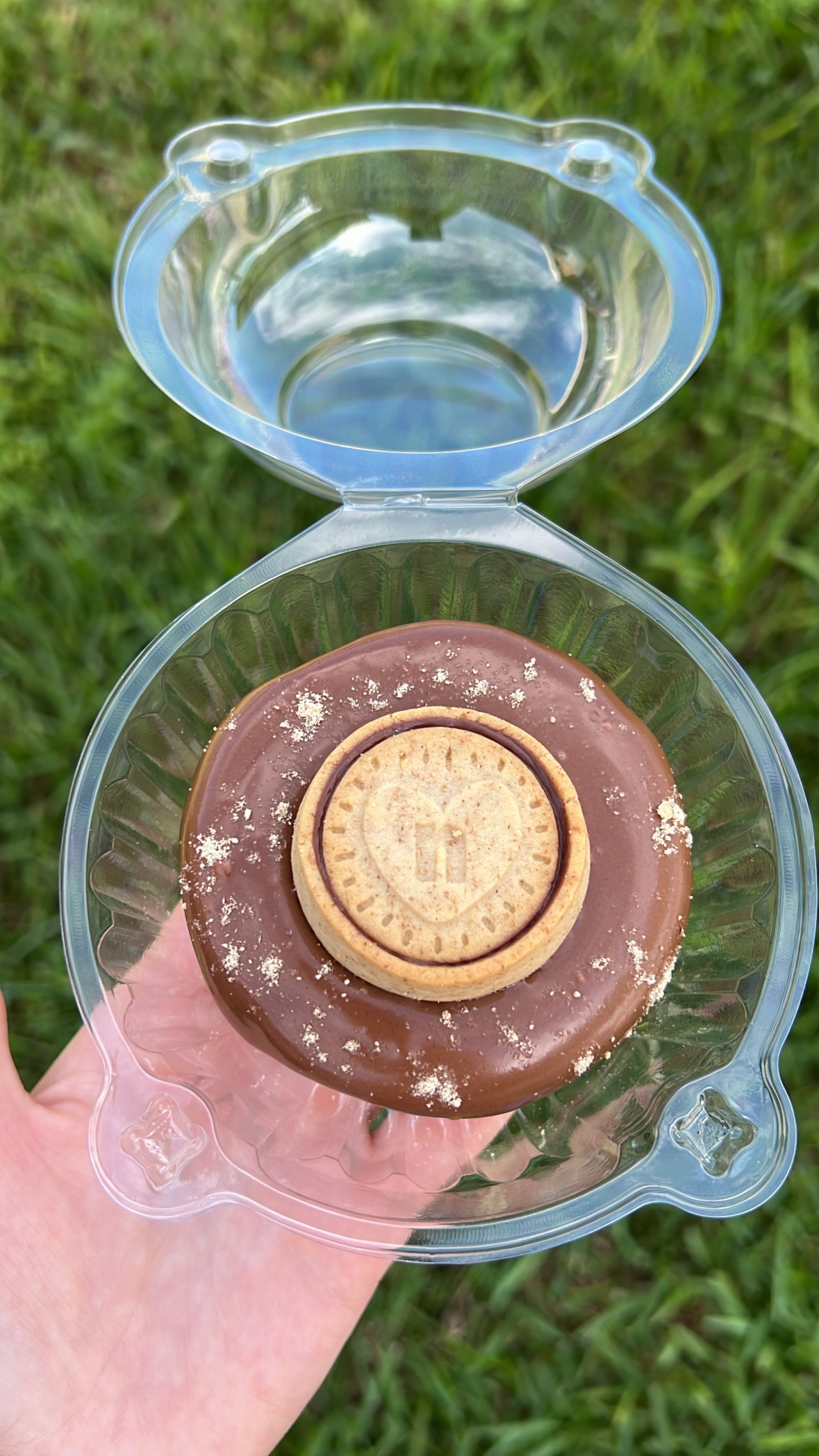 Dolcemanniia photo