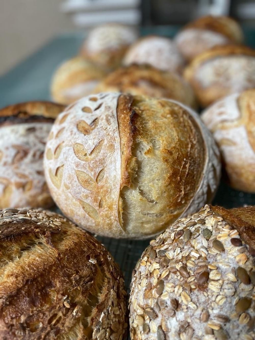 Rustic Crusts