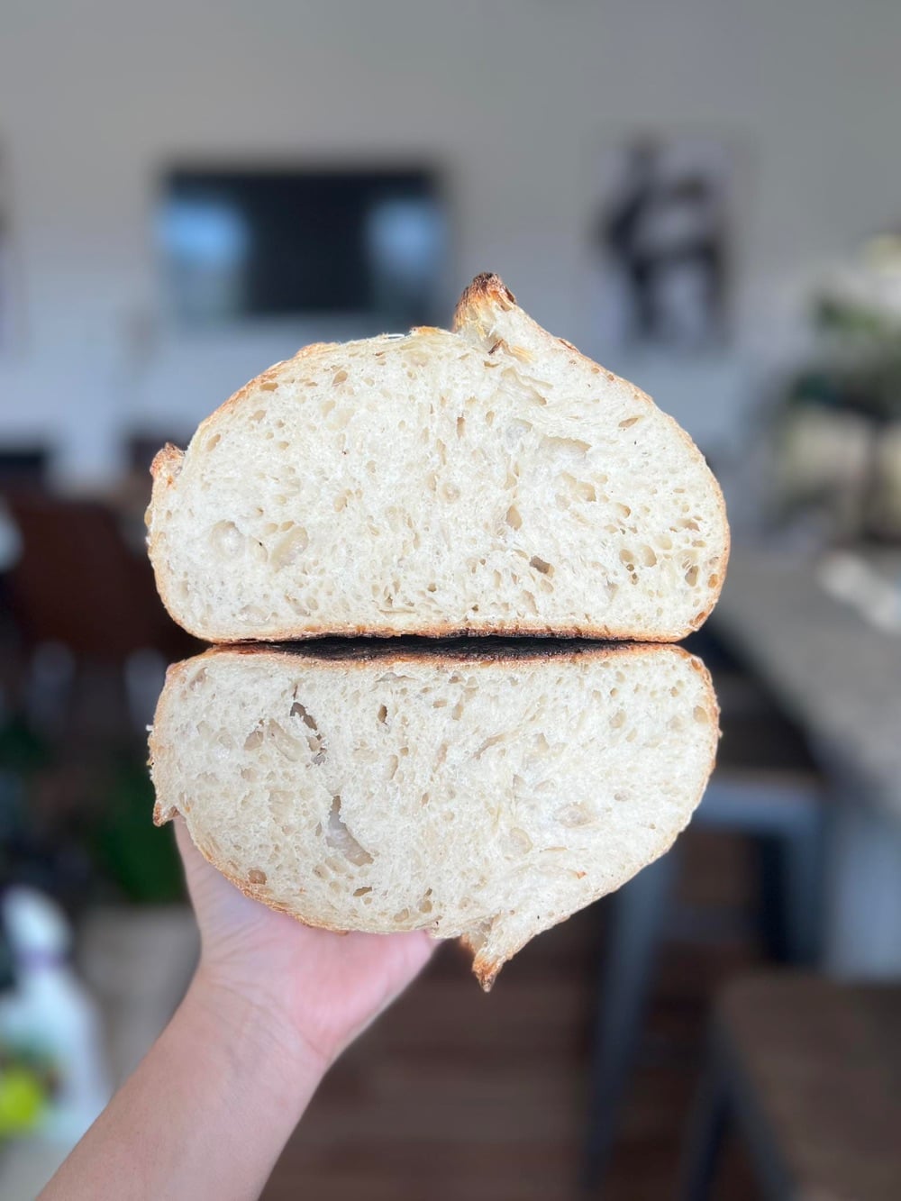 Loafology. Artisan Bakery