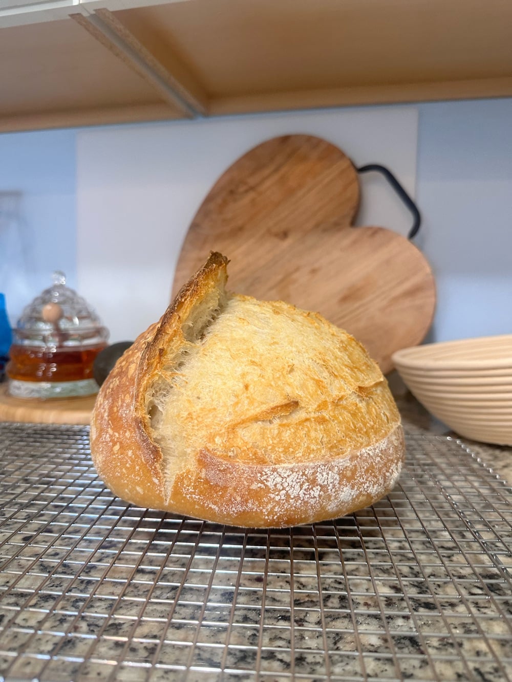Dough Baby Bakehouse