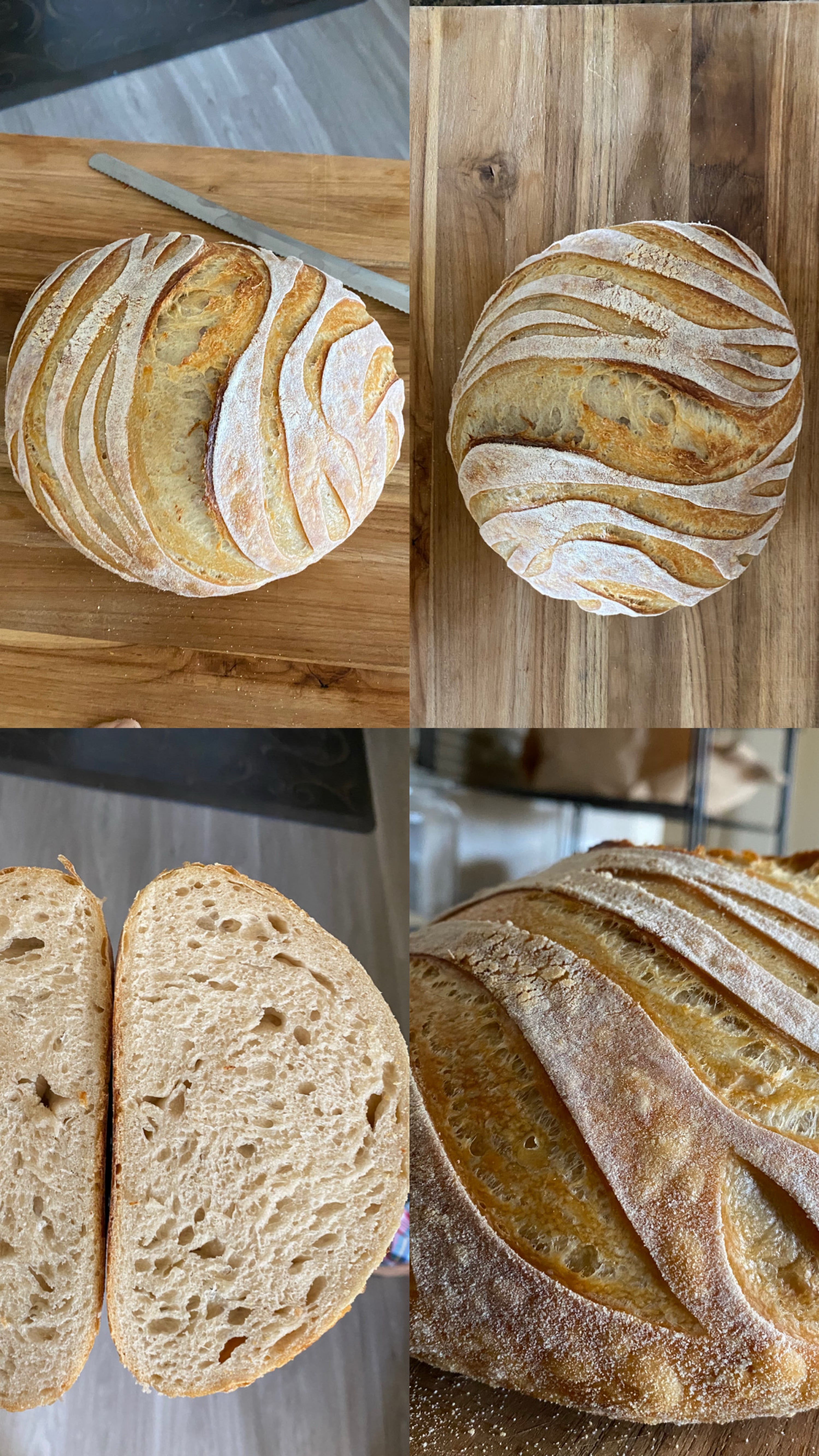 Doughlicious Doughs