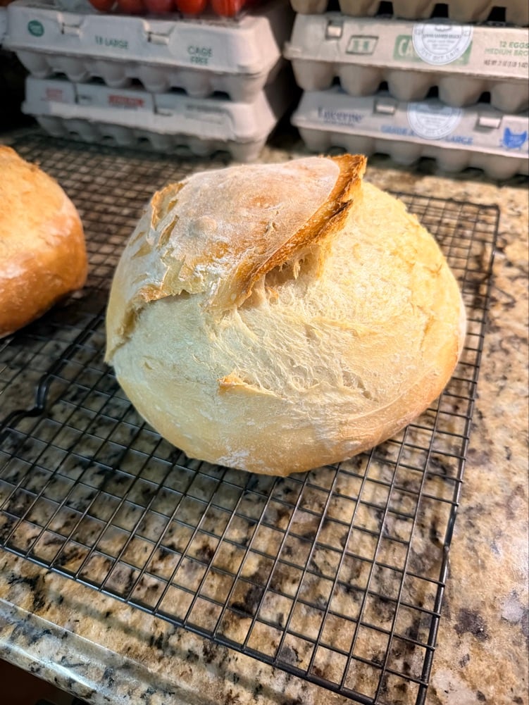 The Kneaded Nest photo