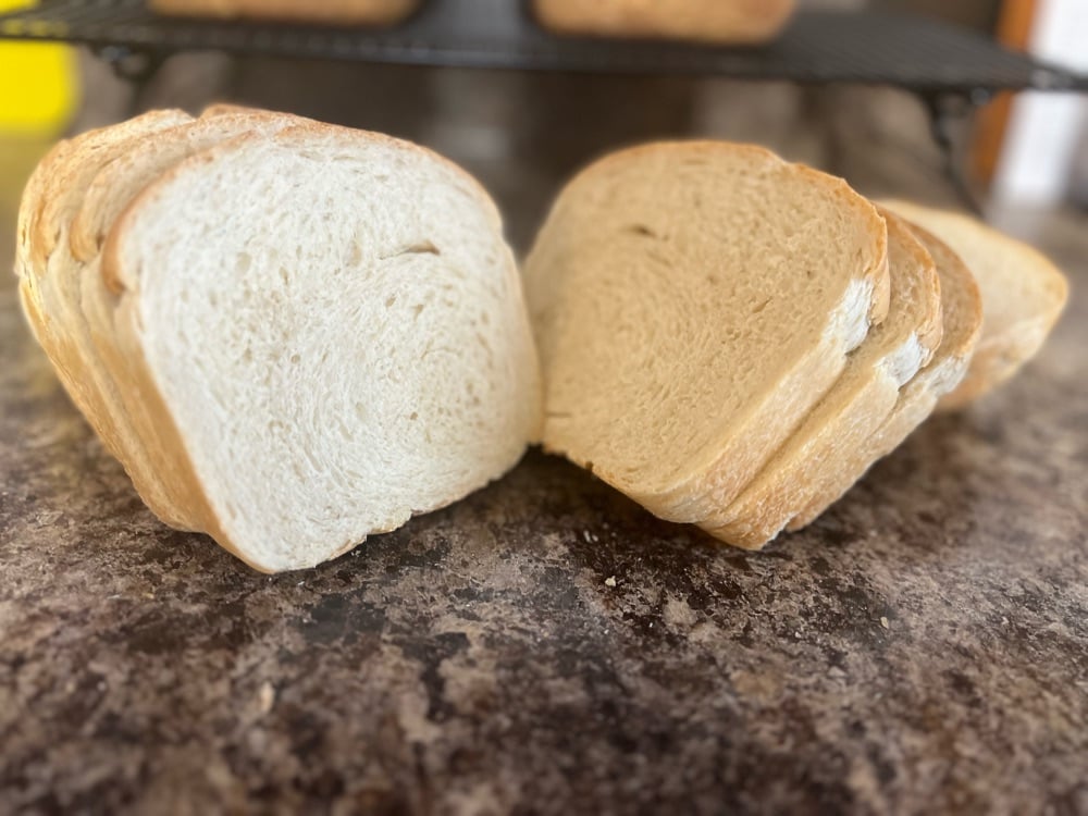 Sweet & Sour~dough~