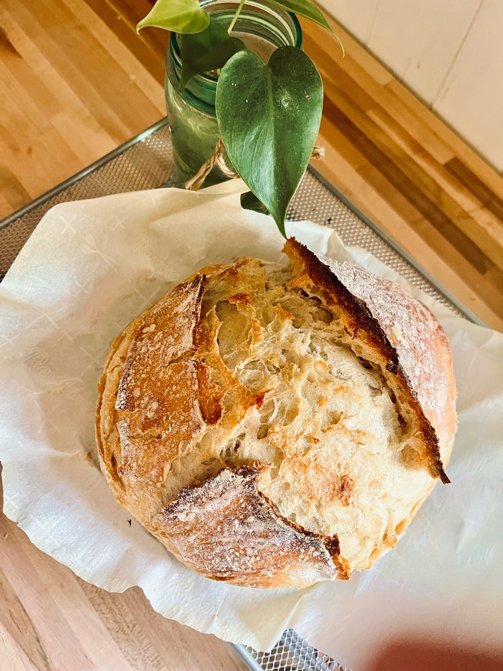 I Loaf You - Bread & Bagels