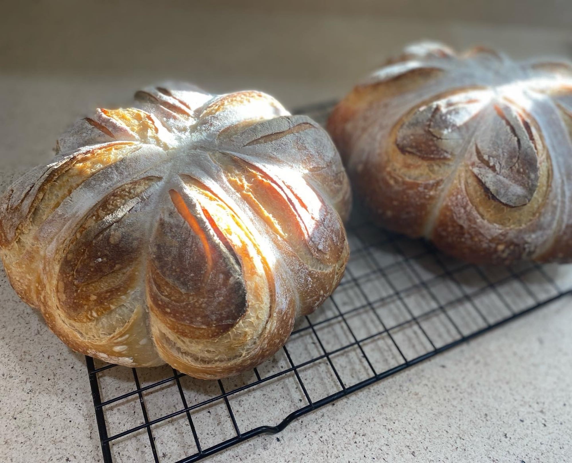 Little Shop Of Sourdough photo
