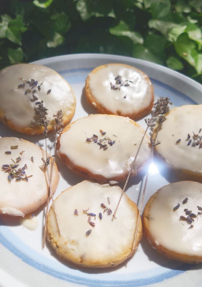 Moth Grove Apothebakery