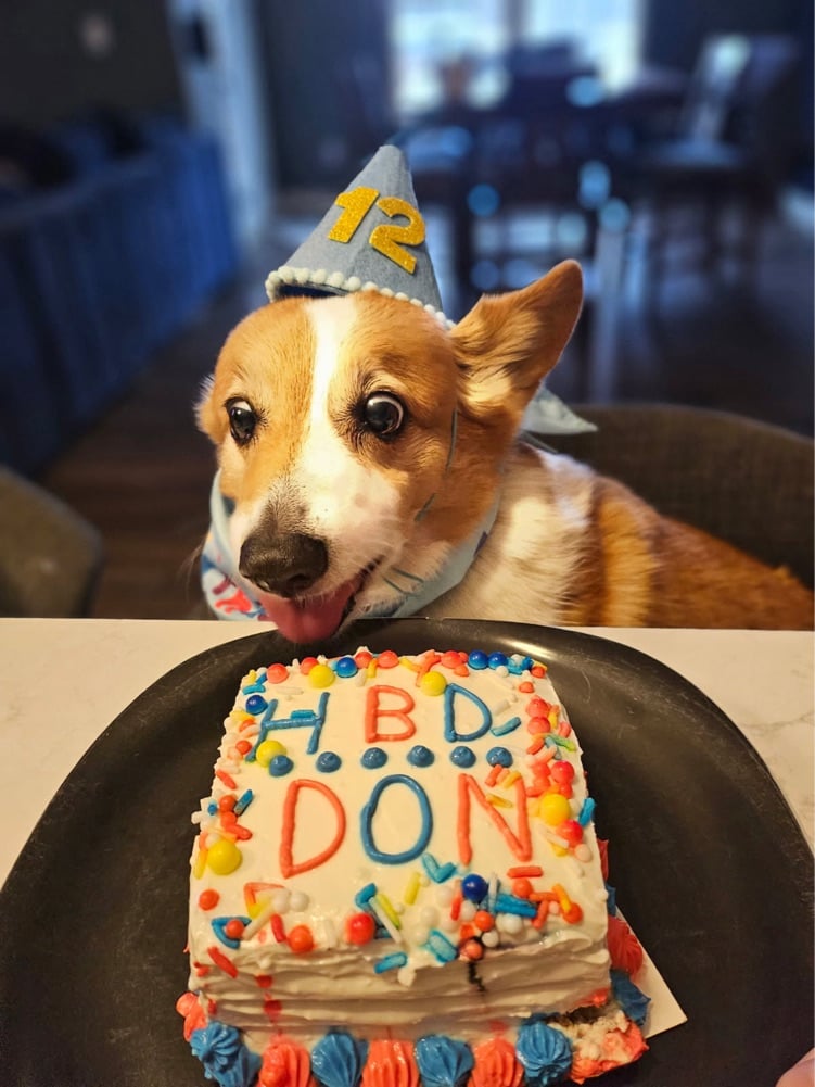 Woof And Whisk