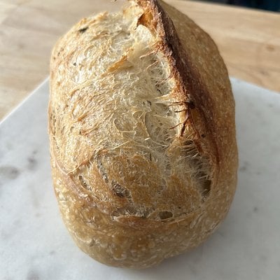 Chaos Cat Bread Co