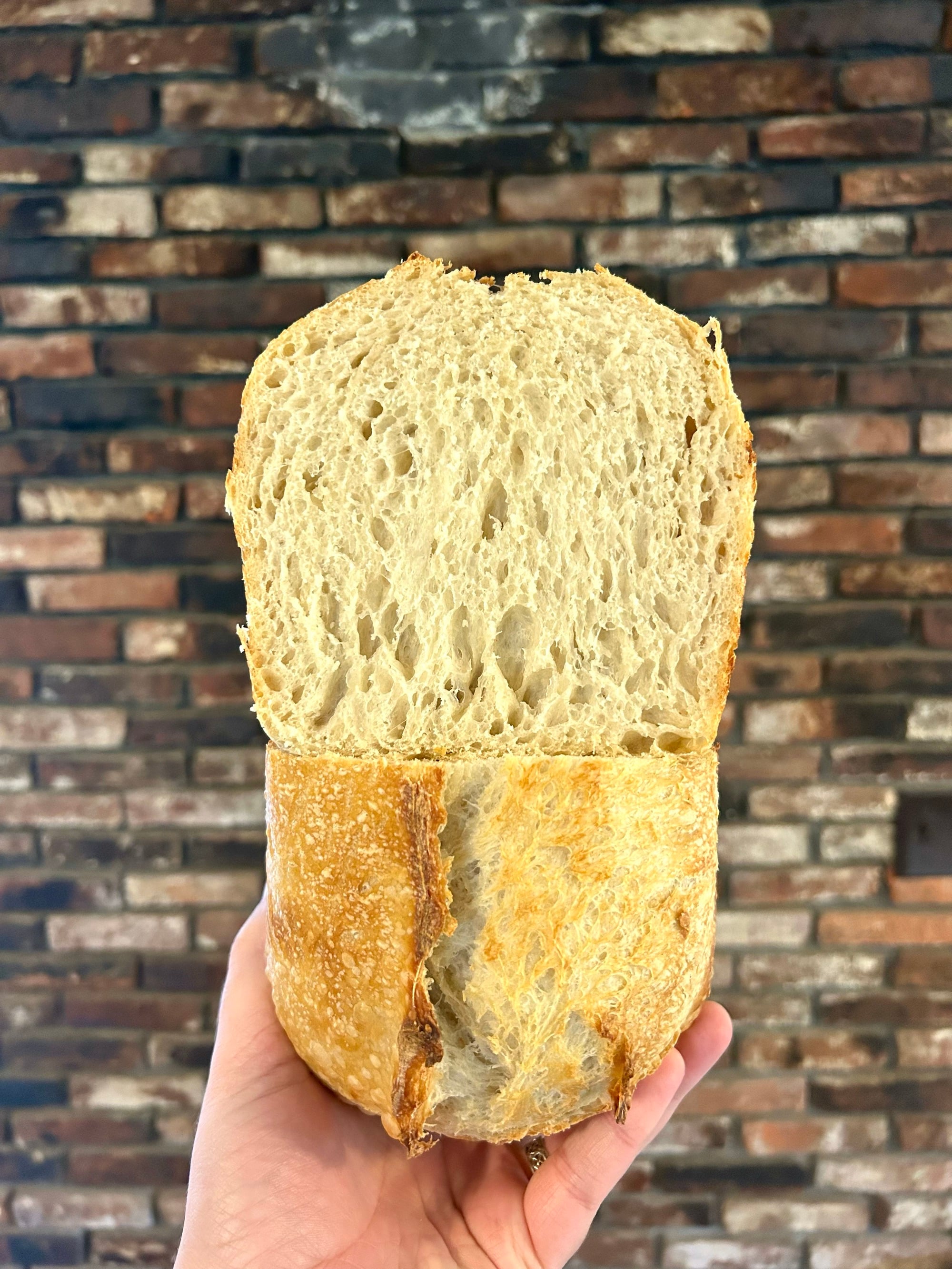 Dog Star Baking Co