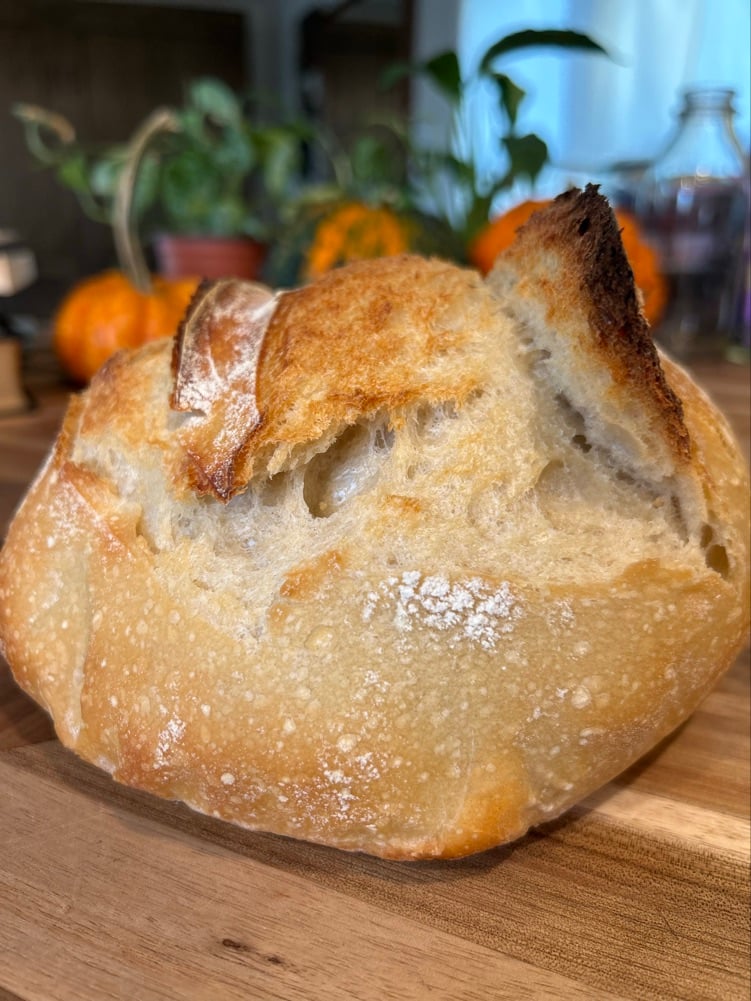 The Nest & Crumb Farmstead