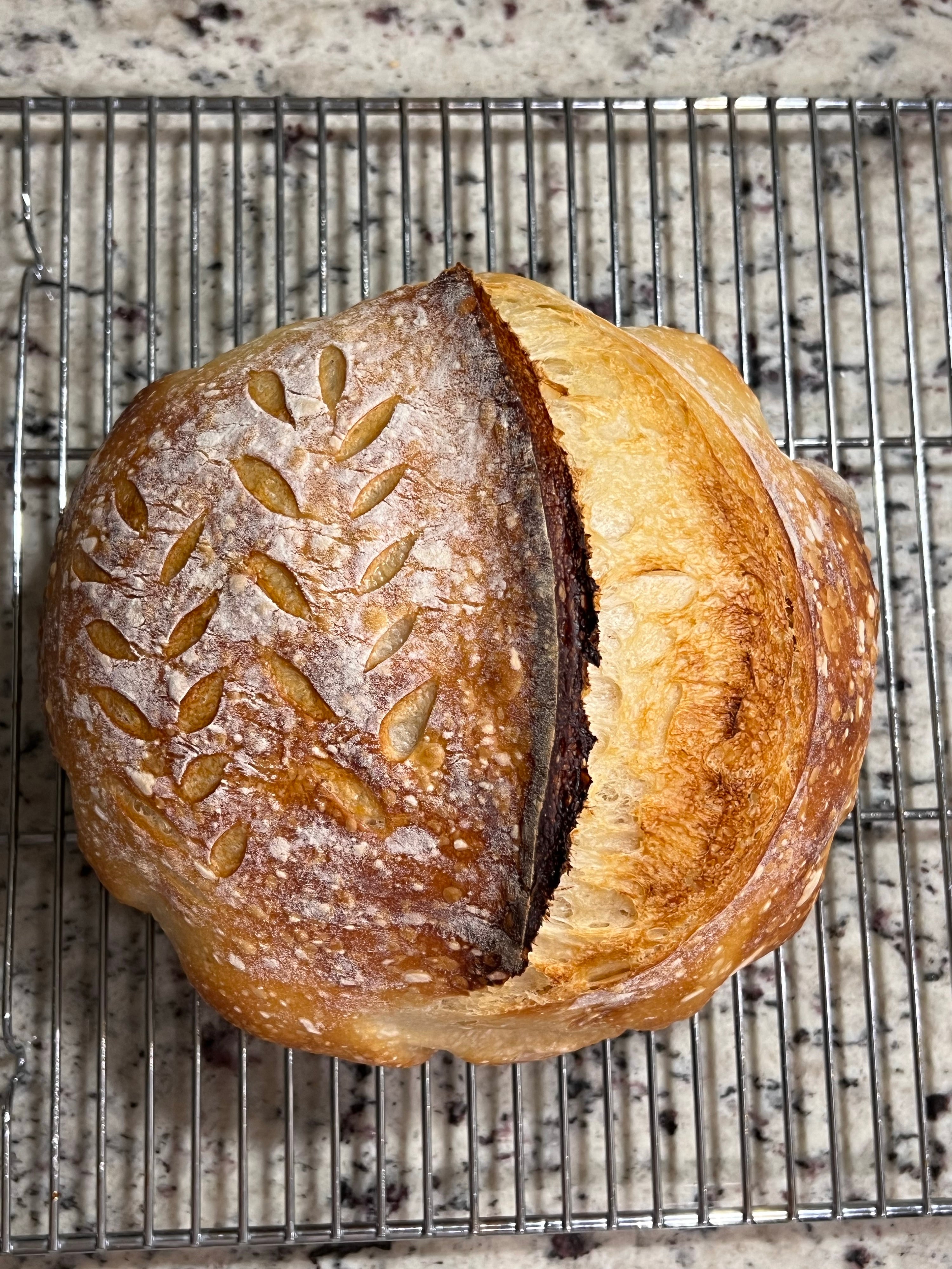 Sourdough Plug photo