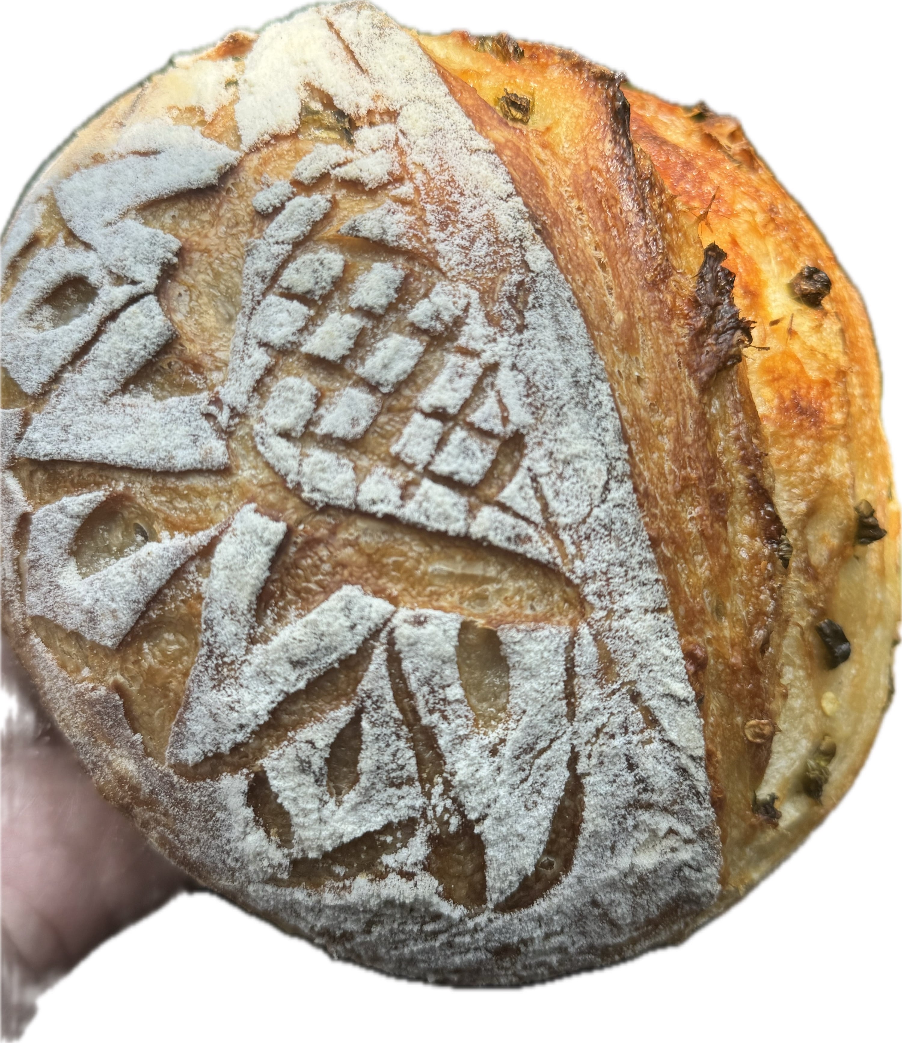 Positively Bread & Co.