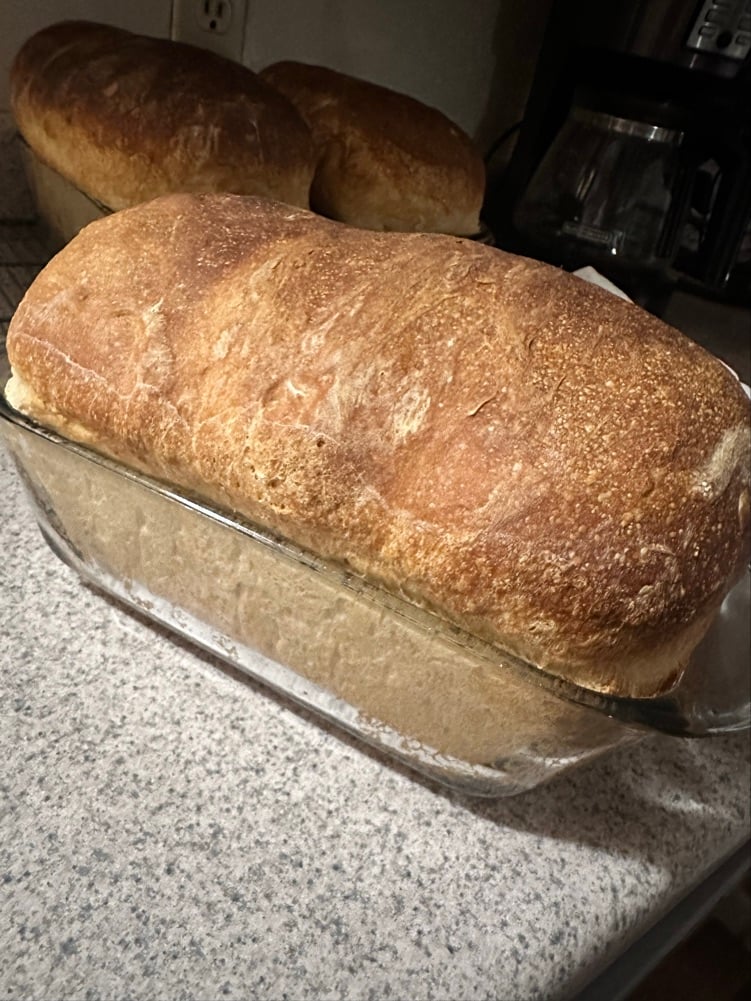 Mogollon Mountain Bakery