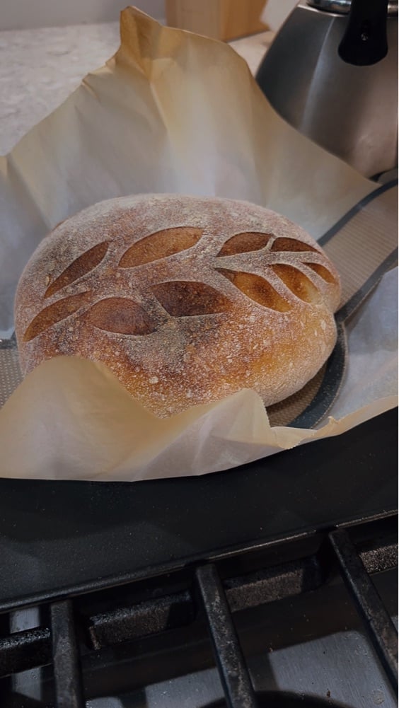 Artisan Voyage photo