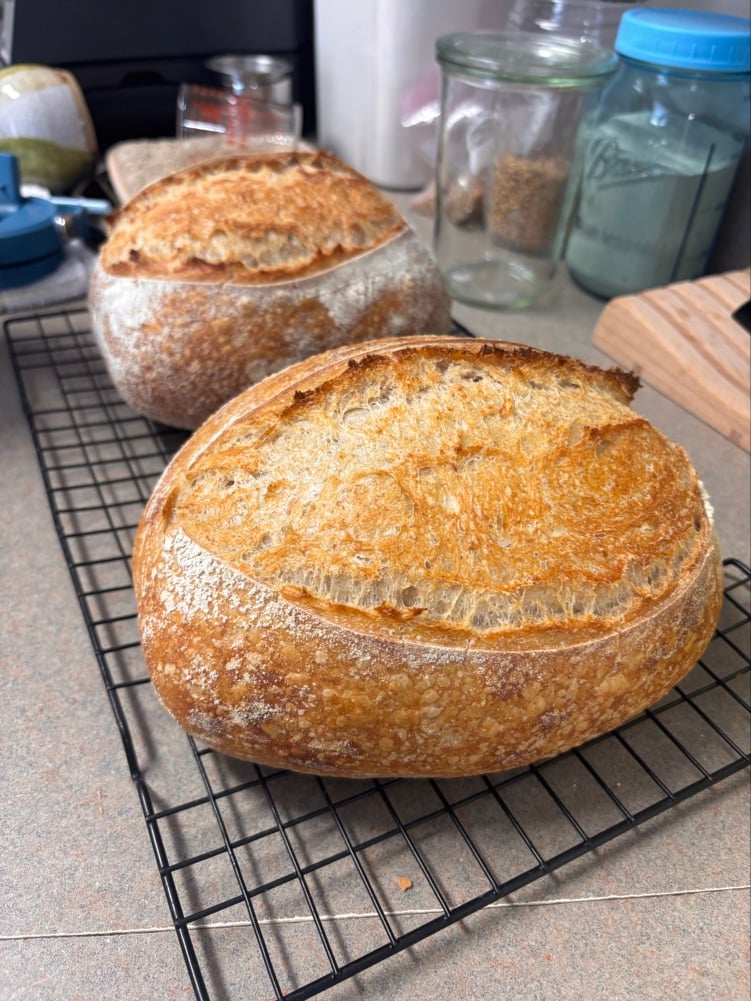 The Tulip Tree Bakery