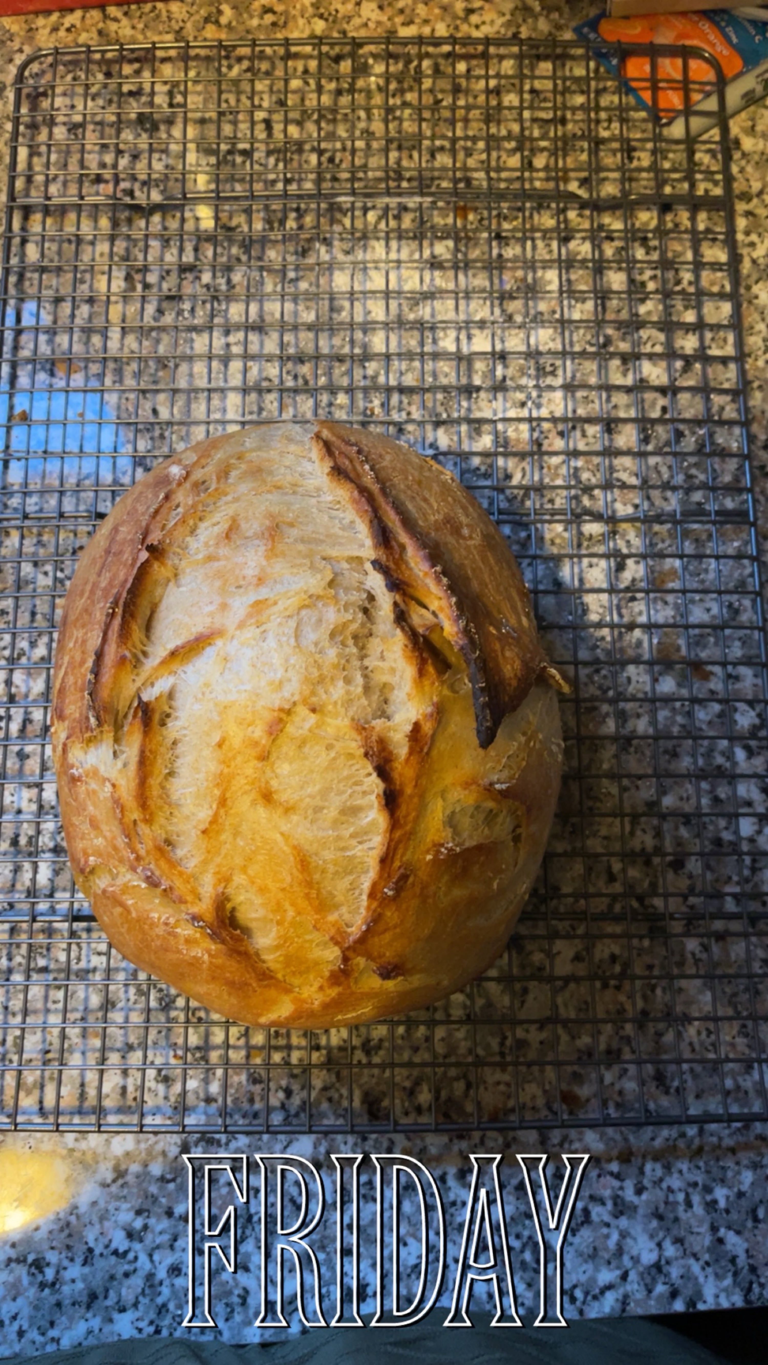 AMN Sourdough