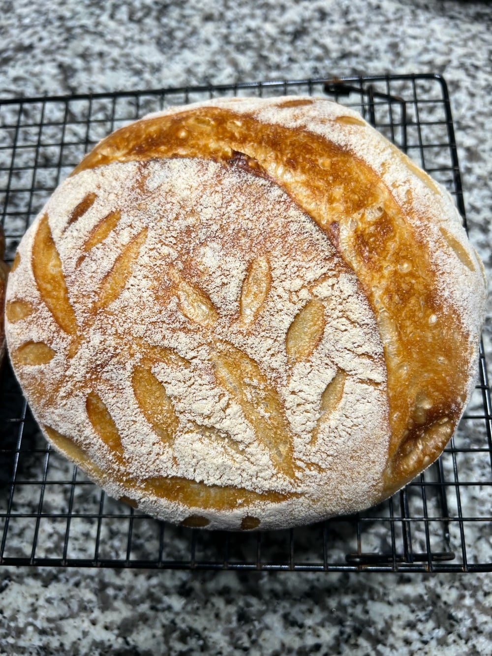 Ell’s Sourdough Shop