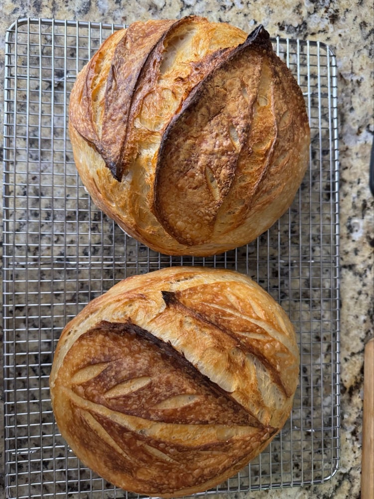 Campo Luna Bread Co.