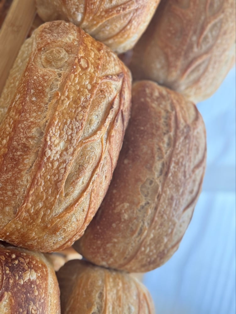 Maple Hollow Sourdough Co.