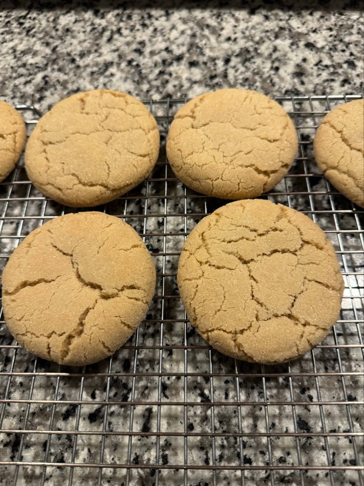 Shelly Bakes