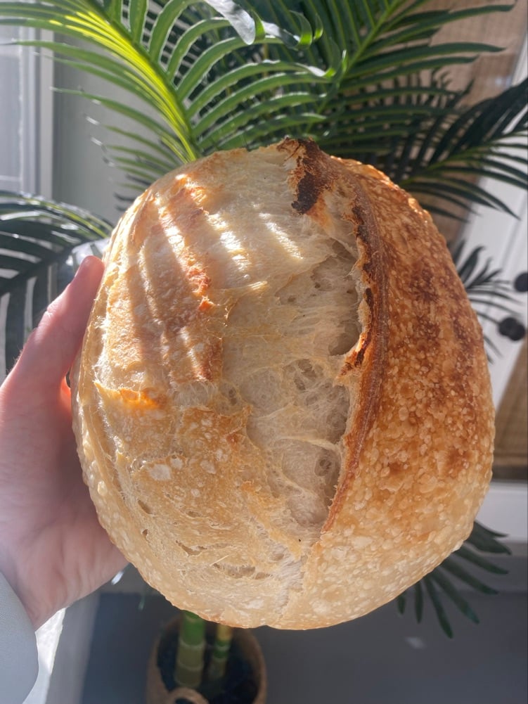 Manna Sourdough