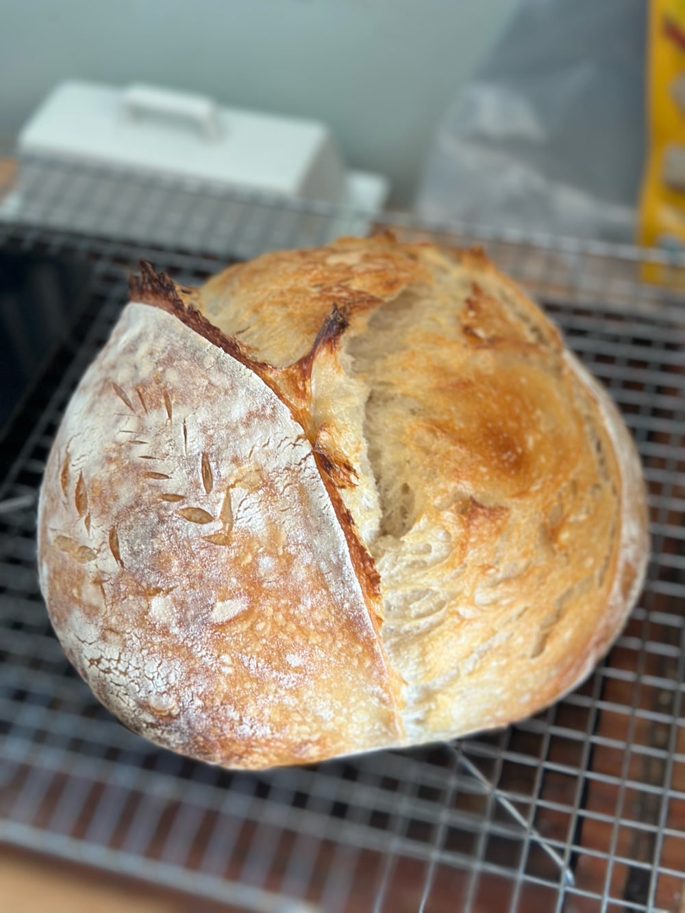 Homemade Legacy Bakery & Co