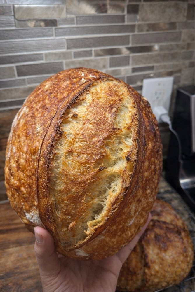 Petra Bakery