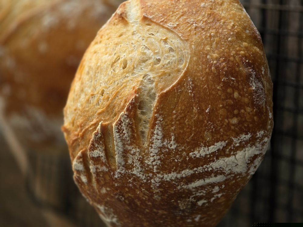 Holly's Bread Box