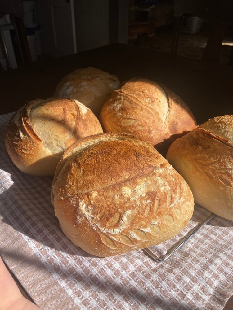 Heaven's Leaven