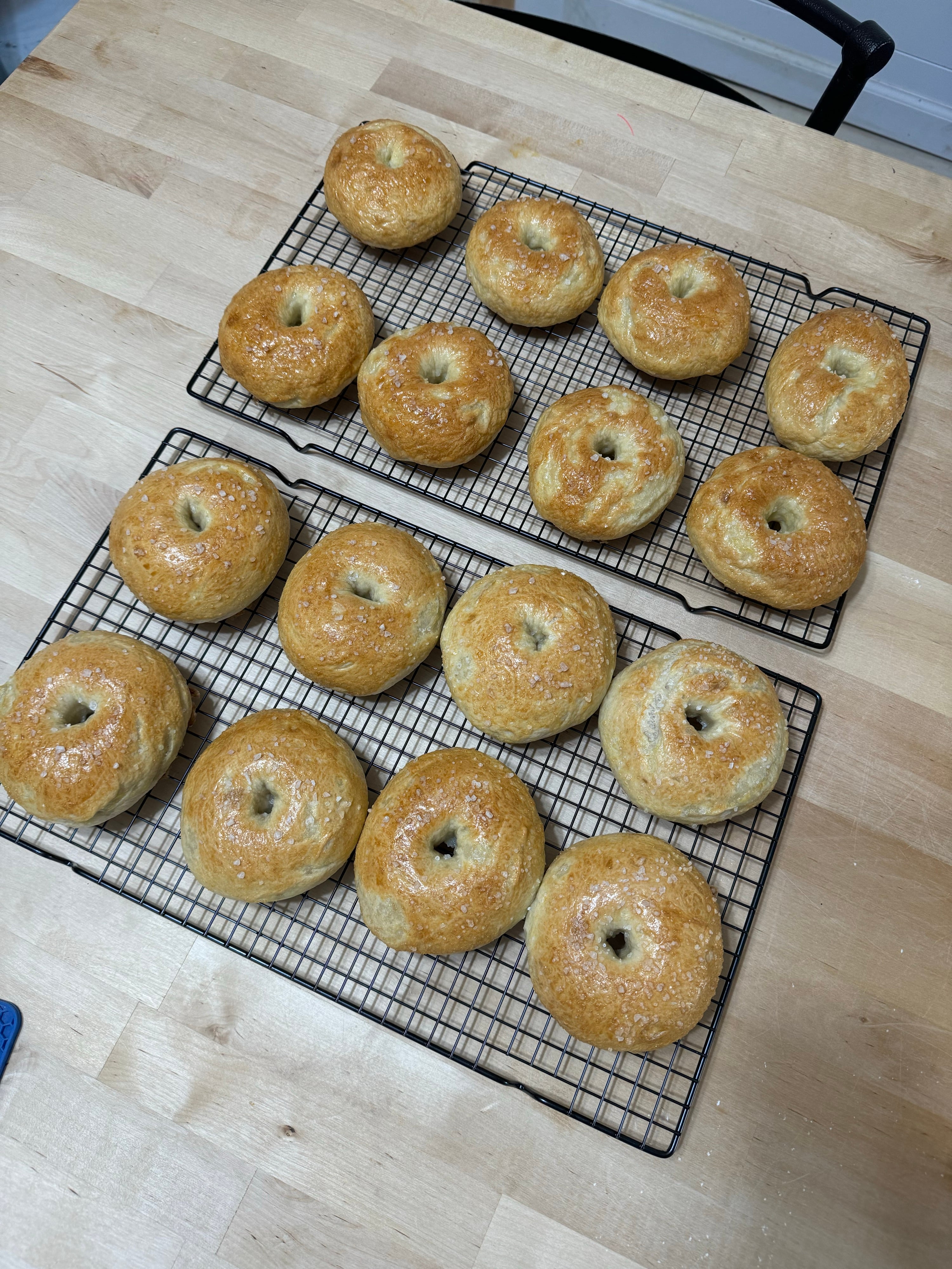 Sheagels Bagels