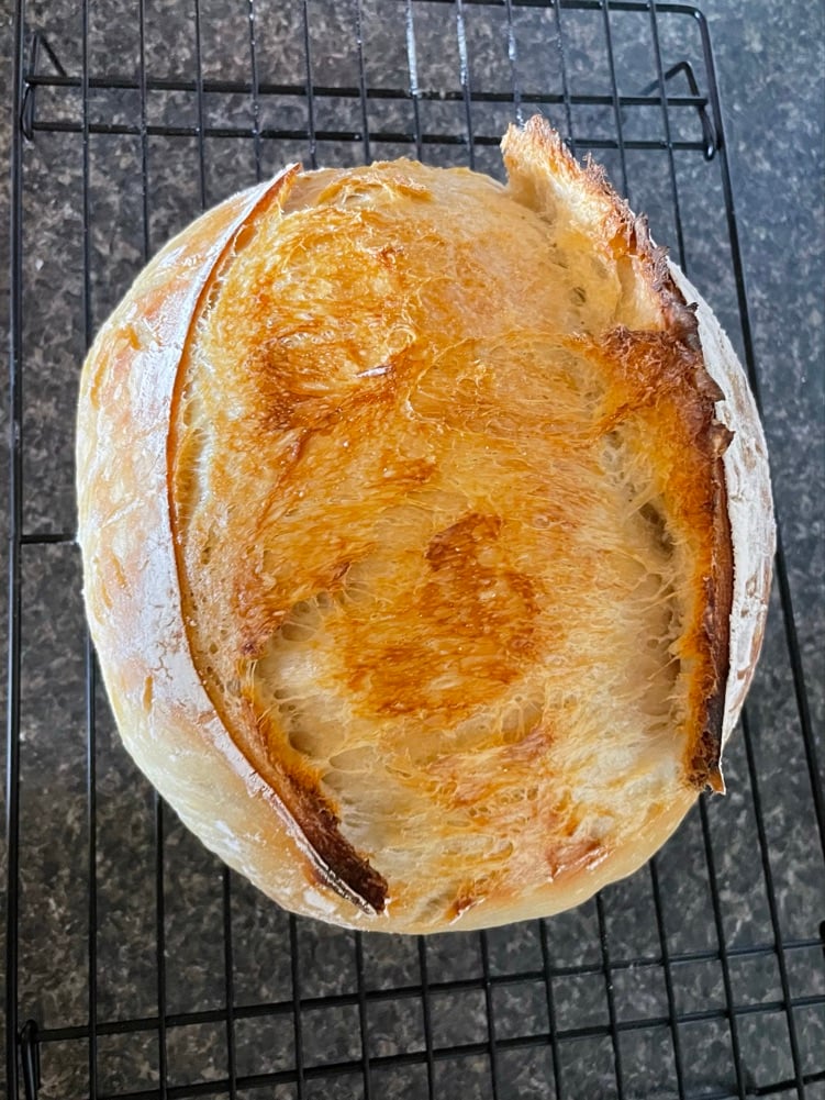The Sourdough Ferry photo