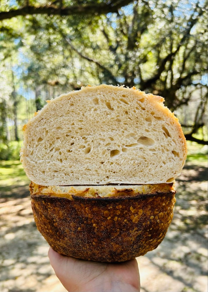 Mystic Bloom Farm + Cottage Bakery
