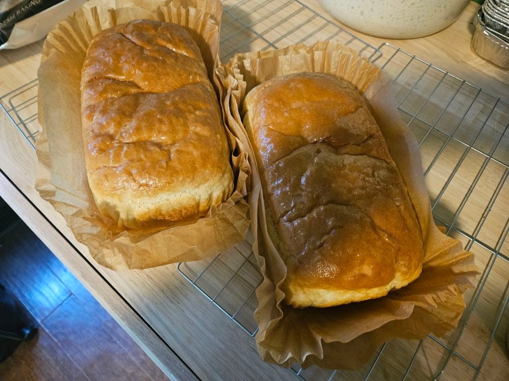 Messy T'S Bakery