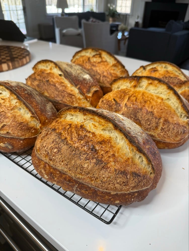 Sourdough17 photo