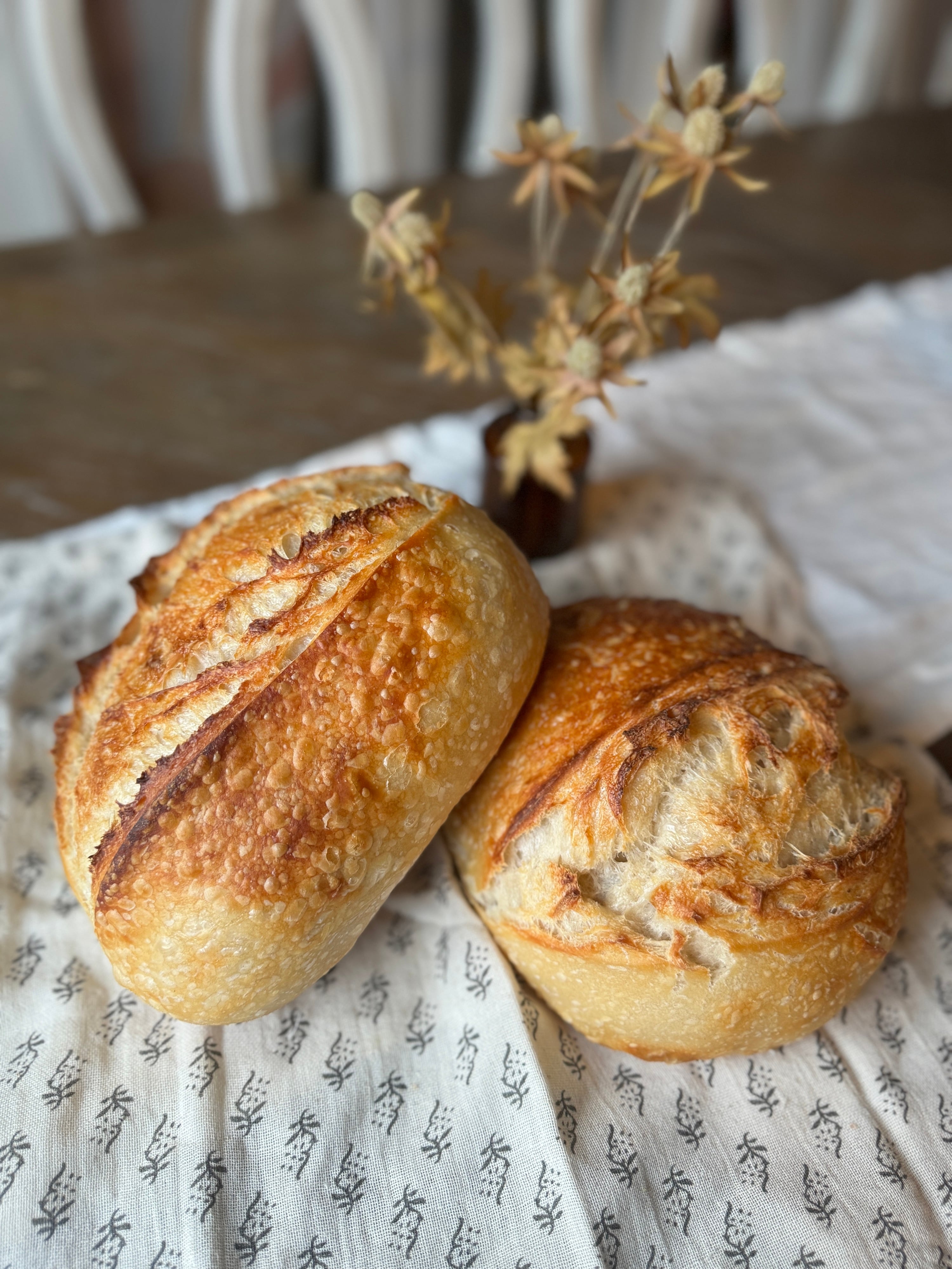 Breanna Bakes Sourdough