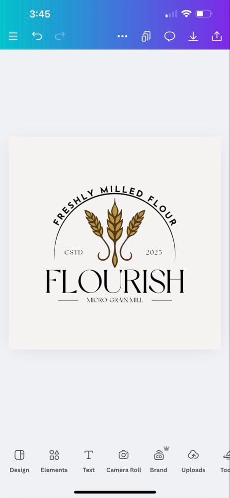 FLOURISH BORO photo