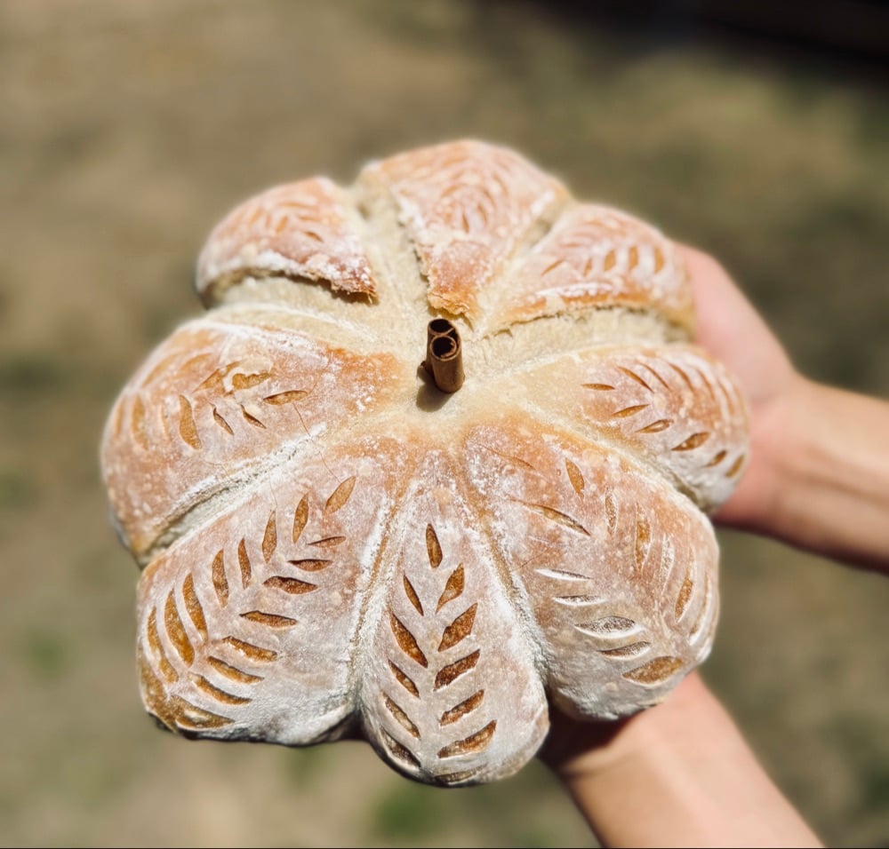 Bread Babe Bakery