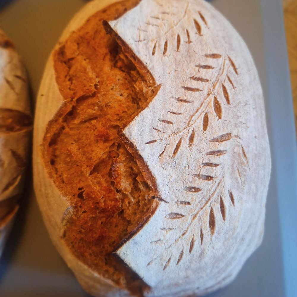 All You Knead