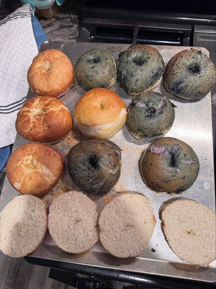 Katie’s Breads And Bagels