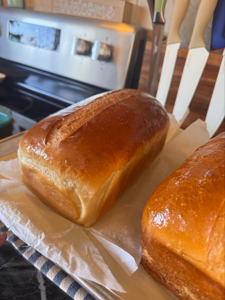 Wild Thicket Baking Co.