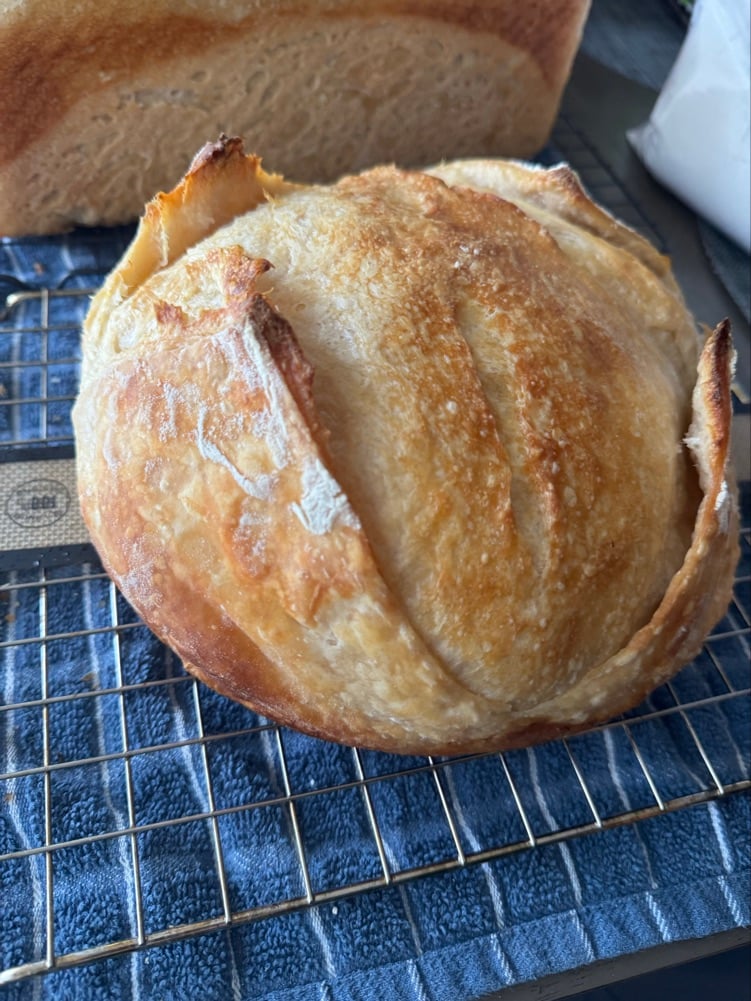Baked By Amanda nj