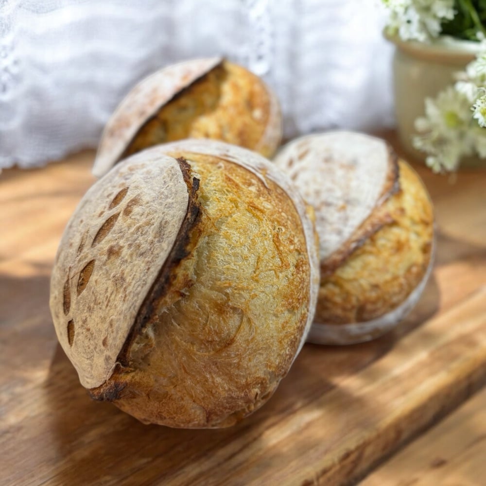 Kneads & Knots Co