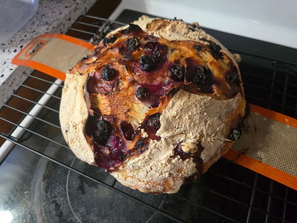 All Things Homemade photo