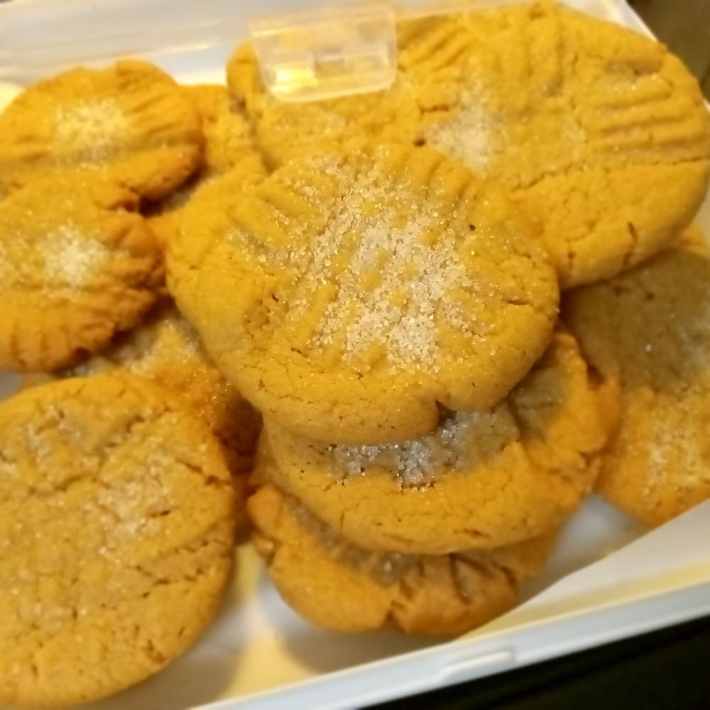 Sugi Girl Bakes