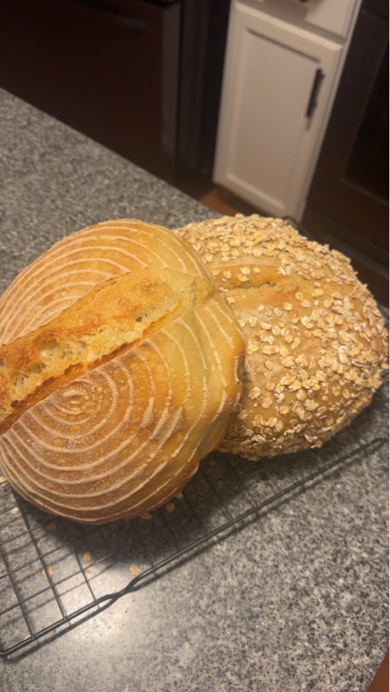Dough Baby Bakery