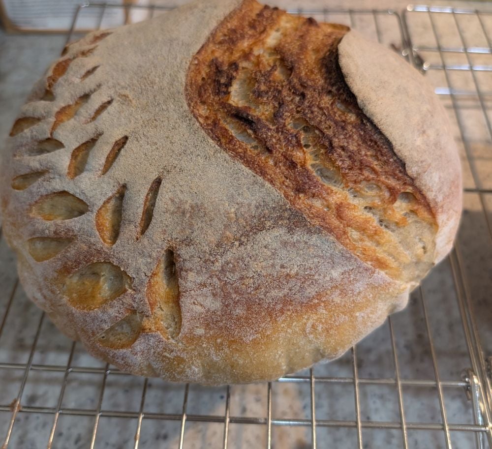 Bubbly Breads
